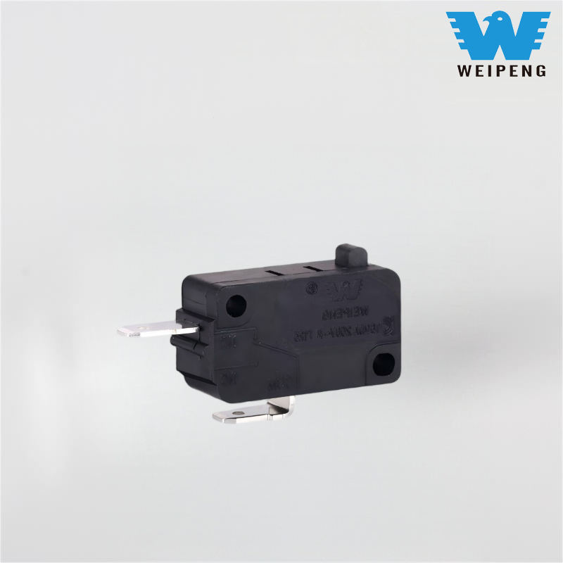 Stříbrný kontaktní mikrospínač fritézy